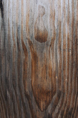 wood texture