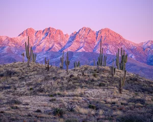 Keuken spatwand met foto Purper landscape in winter  © Christopher