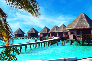 Obraz premium Water villas stand abreast in Maldivian sea 2
