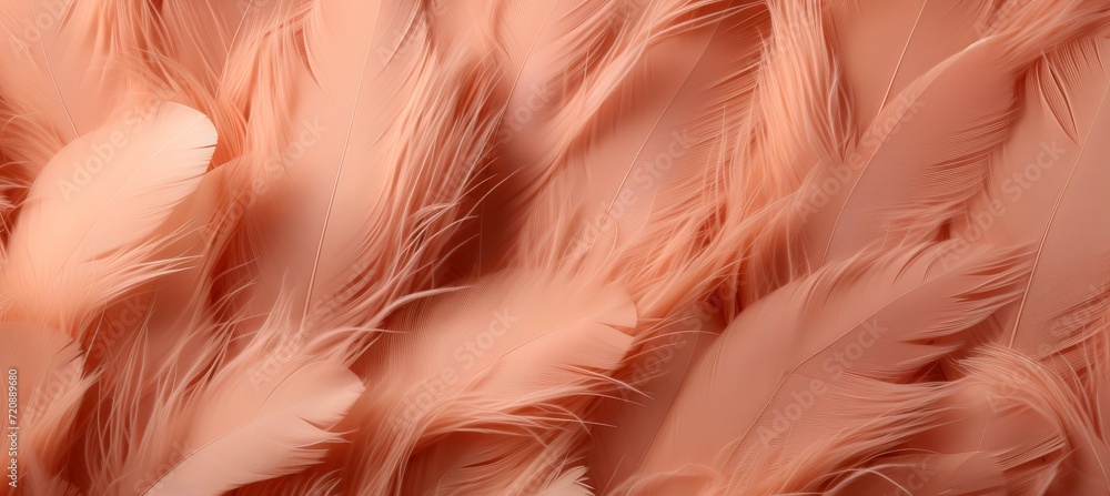 Poster peach fuzz feather texture close up abstract macro apricot background for color of the year 2024