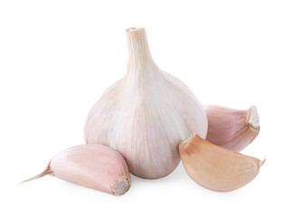 Head of fresh garlic and cloves isolated on white