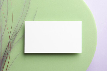 Empty business card, decorative podium and plant on white background, top view. Mockup for design