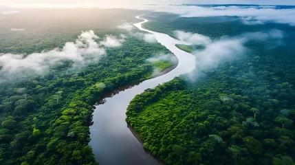 Fotobehang Brazil Amazon Rainforest Basin Aerial View Landscape. (Generative AI). © Dee