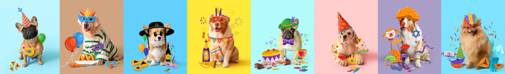 Set of cute dogs with carnival disguise and decor on color background. Purim celebration