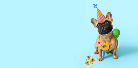 Cute French bulldog on blue background