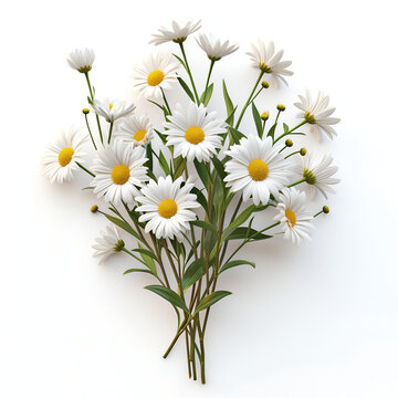 bouquet of daisies on blue background