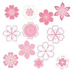 Spring flower blossom 