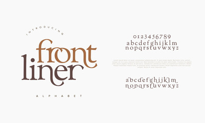 Frontliner premium luxury elegant alphabet letters and numbers. Elegant wedding typography classic serif font decorative vintage retro. Creative vector illustration - obrazy, fototapety, plakaty
