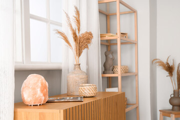 Vase with pampas grass and salt lamp on commode in living room