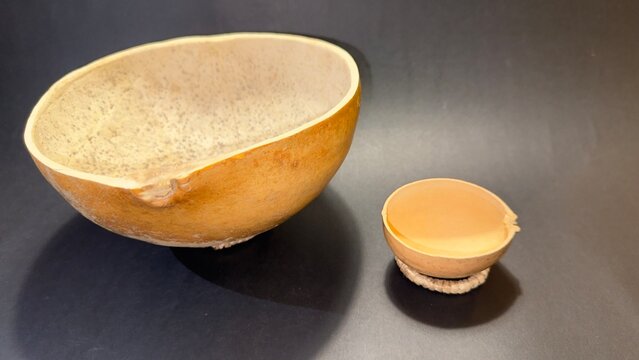 close-up of a typical container made from the fruit of the tecomate or morro tree.  black background with copy space