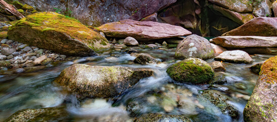 River in Canadian Nature Landscape. Squamish