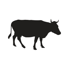 vector cow silhouette icon illustration isolated