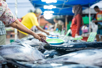People hand choose and buy tuna seafood fish