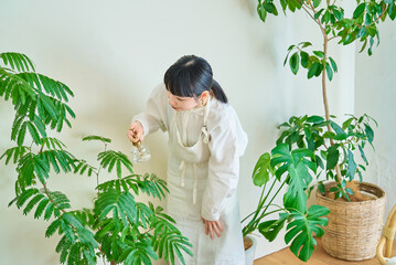部屋の置いた観葉植物に水やりをする若い女性