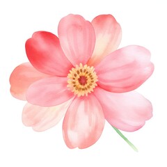 A close-up photo of a pink flower with a yellow center on a plain white background.