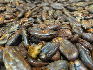 close up of a pile of dried cocoa beans