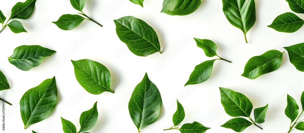 Aufkleber vibrant green leaf pattern on isolated white background - a captivating visual with repeated pattern