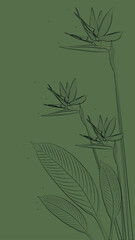 Black and green palette contoured flowers and plants background vector illustration