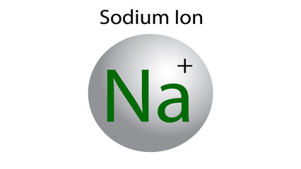 Sodium Ion