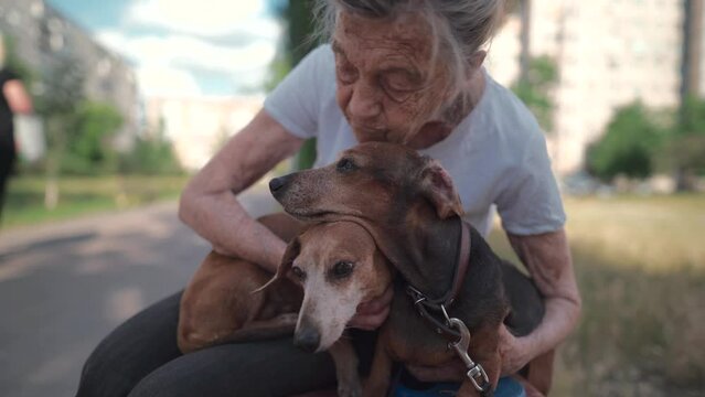 Happy senior woman holds a small dachshund dog in her arms, smiles hugs, presses and shows love to her pet on a bench in the park. Female 90 years old spends time with her best friend pet on street.