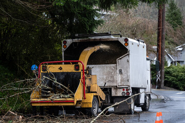 Tree branches feeding into a commercial shredder and sending wood chips into a work truck, residential tree removal
