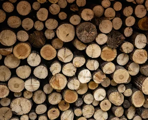 Möbelaufkleber stack of firewood © 雪 杨