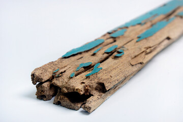 Wooden boards finished with paint, eaten by termites, photos from several views
