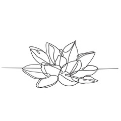 continuous line drawing Lotus flower illustration