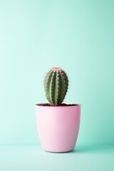 Colorful Cactus in Flower Pot with Balloon AI Generated