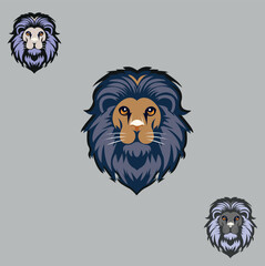 lion head 3 different modern lion hair.