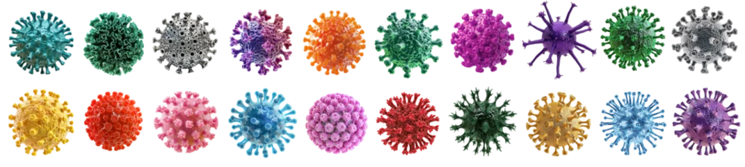 Fotobehang Collection of colorful different types of virus and bacteria over isolated transparent background © Pajaros Volando