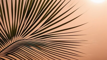 Fototapeta premium Close-up of a palm leaf on a peach fuzz background, abstract background with a palm leaf and shadow on a peach fuzz background, background trend of the year 2024