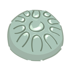 Tank drum on white background