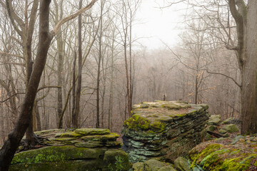 HDR Shot of Rocky Ledges in Forest