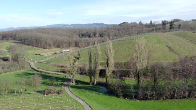 Countryside with hills, trees and vineyard, Ortenaukreis, Nesselried