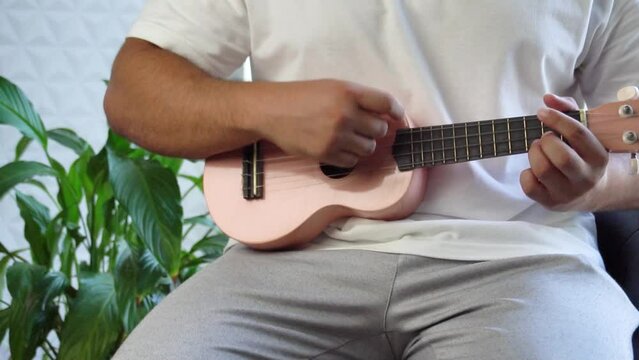 Man mid 30 and with bead is playing and whistling with his pink ukulele next to a big window and close to a green plant. Music is one form of art that can soothe the soul and make us feel better