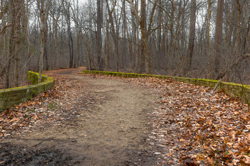 HDR Shot of Small Mossy Stone Bridge in Winter Woods