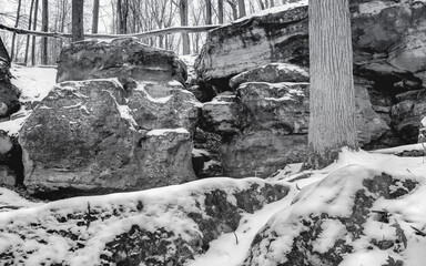 HDR Landscape Black and White Shot of Large Stone Ledges in Snowy Winter Woodland