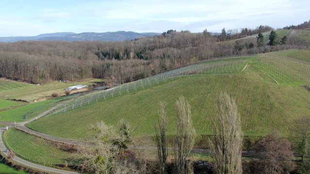 Revealing scenic lush nature of Baden Wuerttemberg, Germany