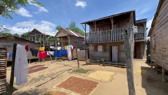 The cloves are drying on braided mats between the houses in Ambinanitelo. Madagascar.