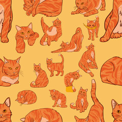 SEAMLESS PATTERN ORANGE CAT