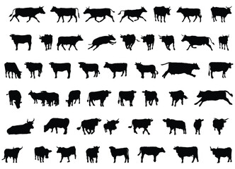 Cow Silhouette Vector Set on White Background © Khaledur