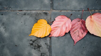 Colorful Leaves on Sidewalk: A Minimalistic and Simple Image AI Generated
