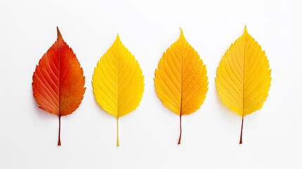 Autumn leaves isolated on white background. Realistic vector illustration. Generative AI