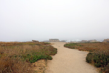 Ocean Coastline View 