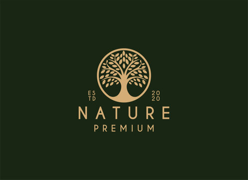 Nature tree logo design. Garden plant natural symbols template. Tree of life branch with leaves business sign collection