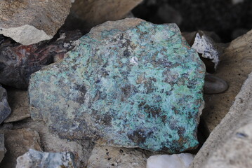 Desert stones and fossils, interesting geology from high mountain desert region