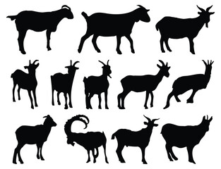 Goats set collection - vector silhouette.