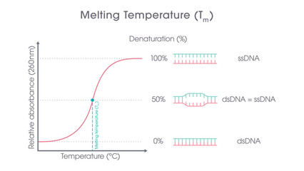 DNA Melting Temperature genome sciences graphic 