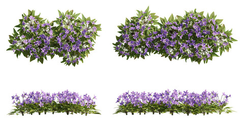 Set of violet flowers, 3d rendering, front and top view, cutout for digital composition, illustration and architecture visualization © ANDRIBENKY